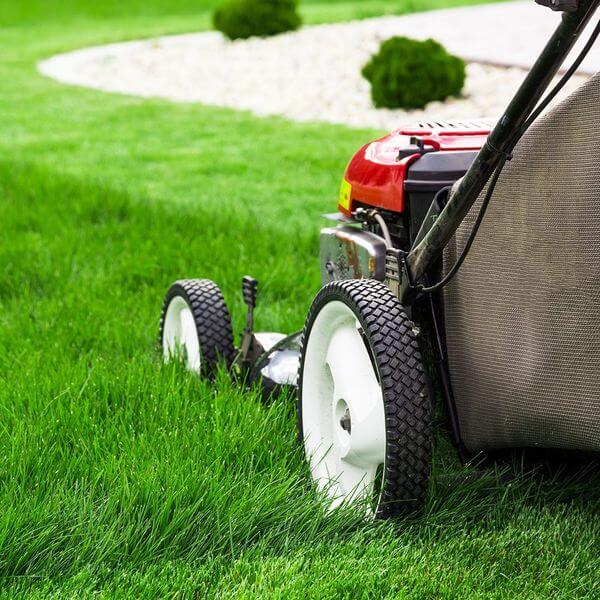 4 Common Misconceptions About Lawn Care BB Image 1