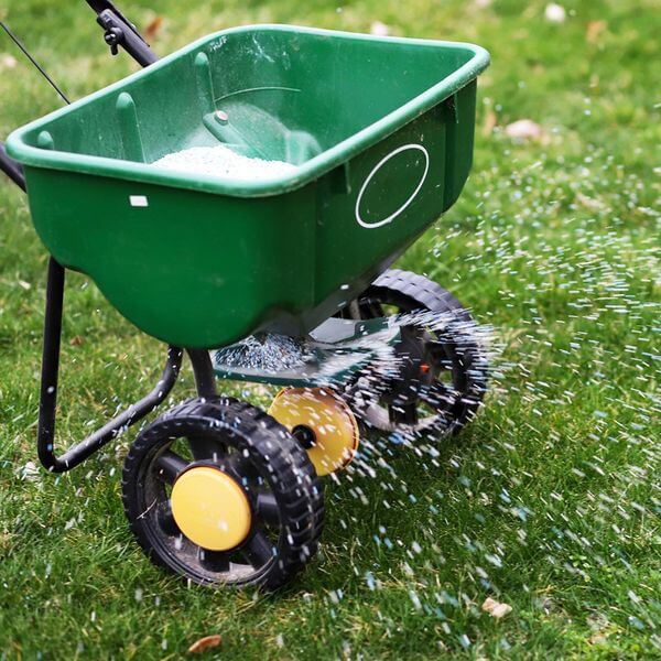 4 Common Misconceptions About Lawn Care BB Image 3