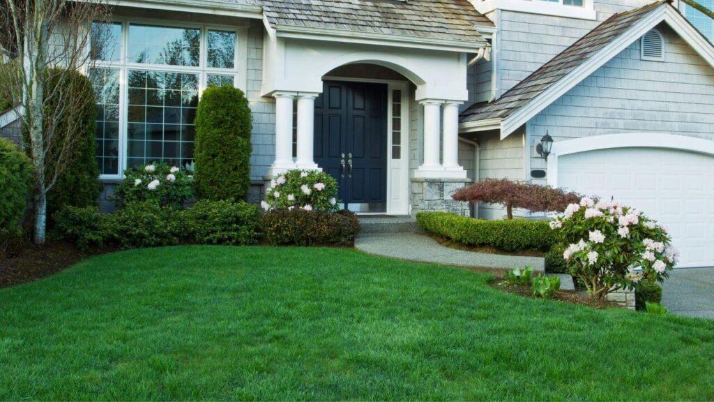 feature - How To Prepare Your Lawn for Spring