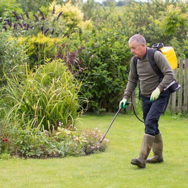 image2 -How To Prepare Your Lawn for Spring